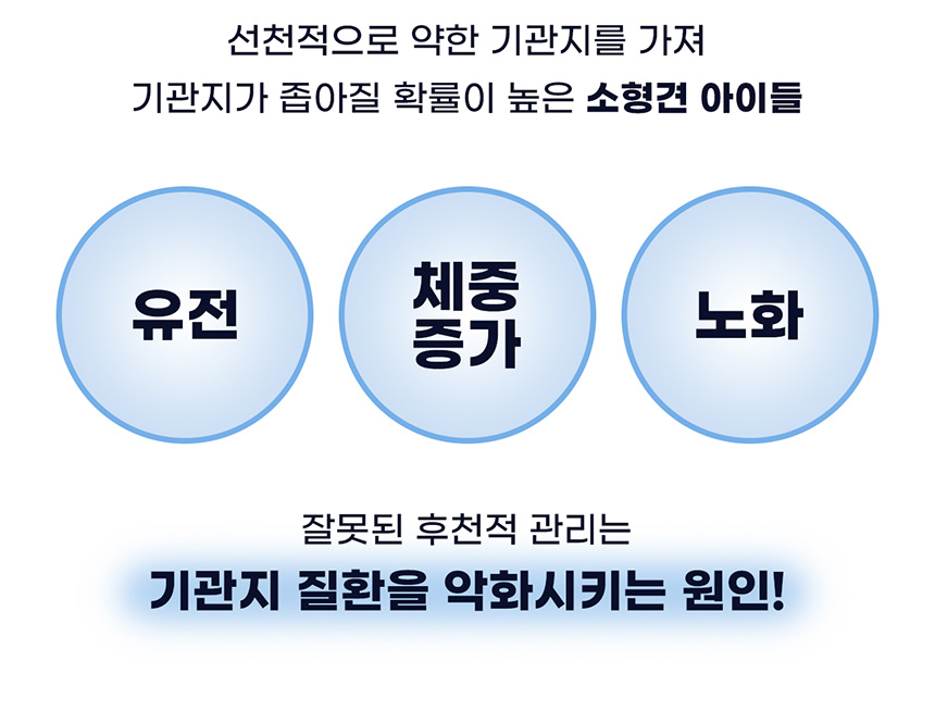 93c578ef850a4499a2ddd928cff4aaba_1727887784_744.jpg
