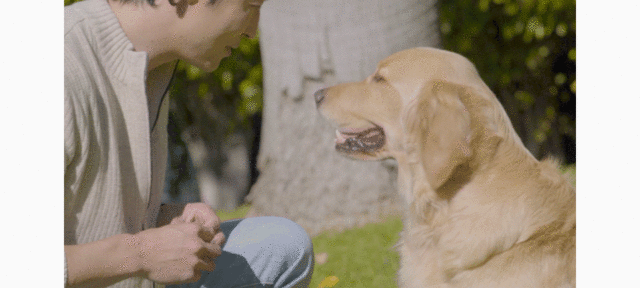 e2ea3f6f006640af956326d54cdf9c90_1727887701_2317.gif