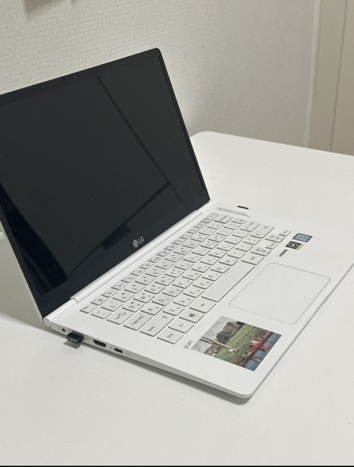LG gram 노크북 14ZD980-GX50